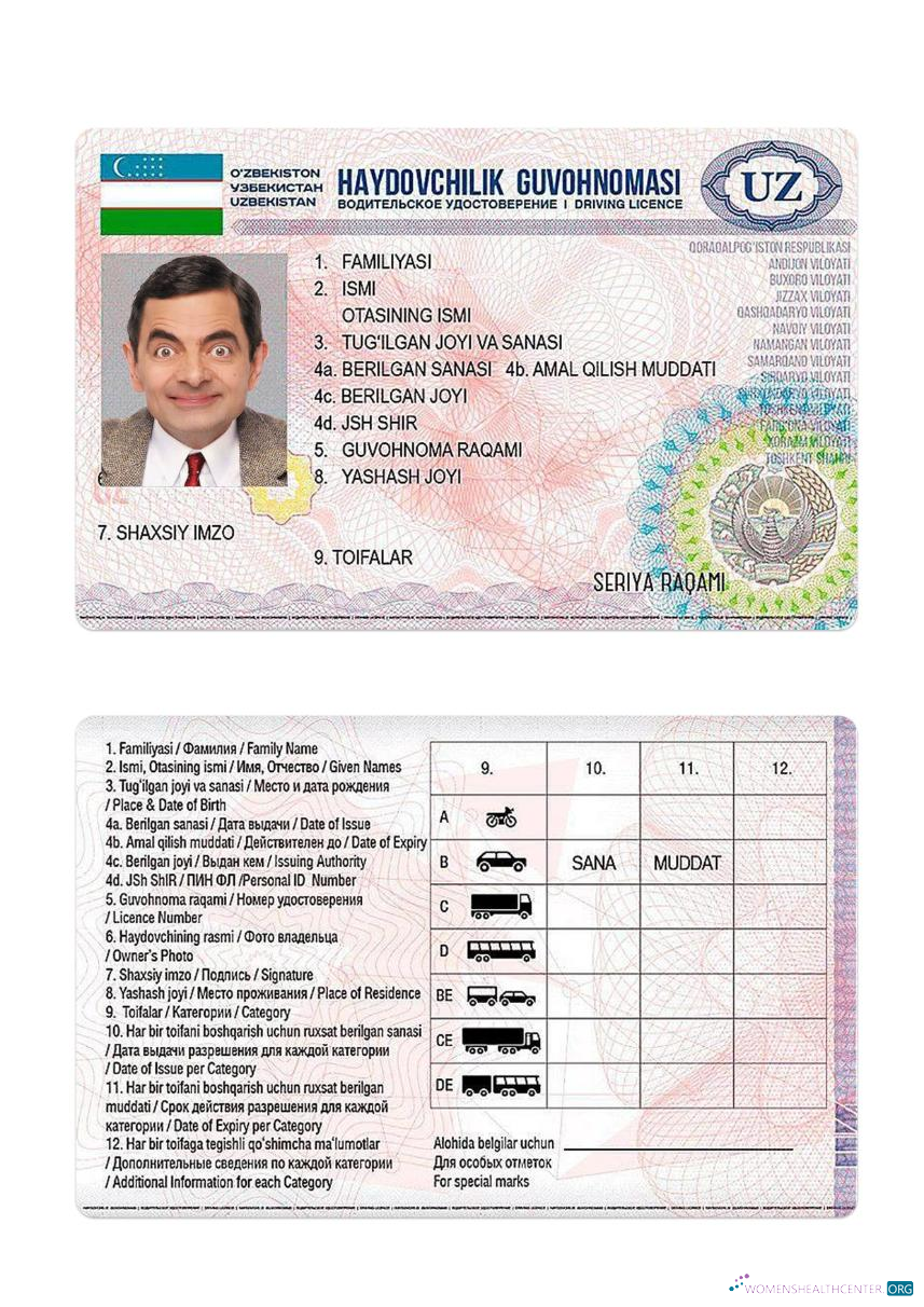 download Uzbekistan driving license 2017 present